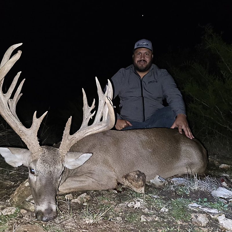 Heavy-antlered Hill Country whitetail buck